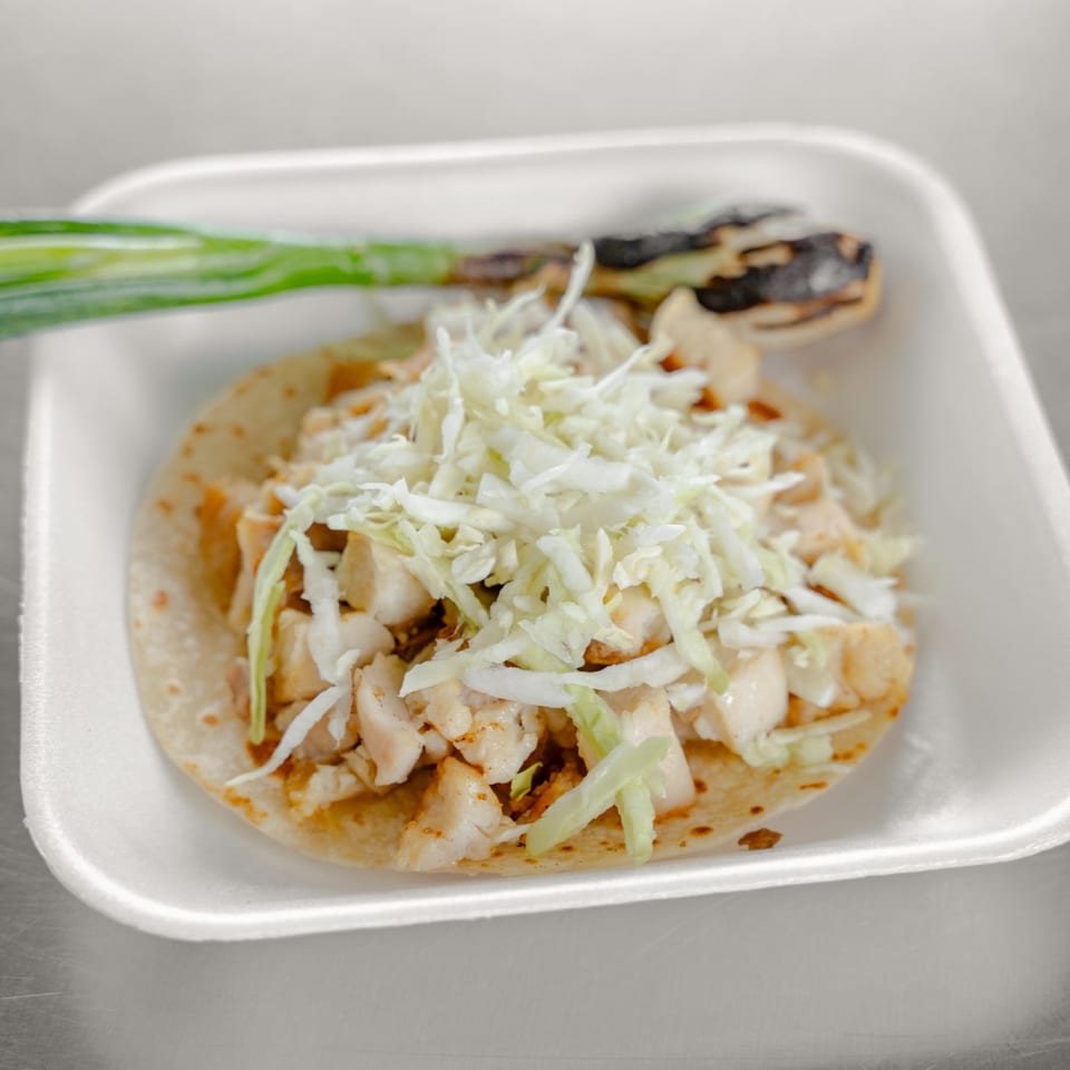 Pollo taco with grilled onion